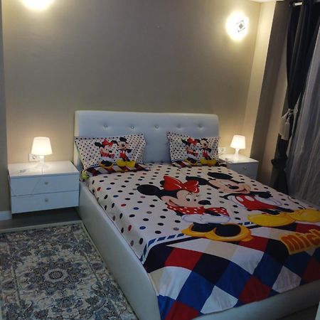 Myky Mouse Nu Primesc Santieristi Si Petrecareti Apartment Bucharest Luaran gambar