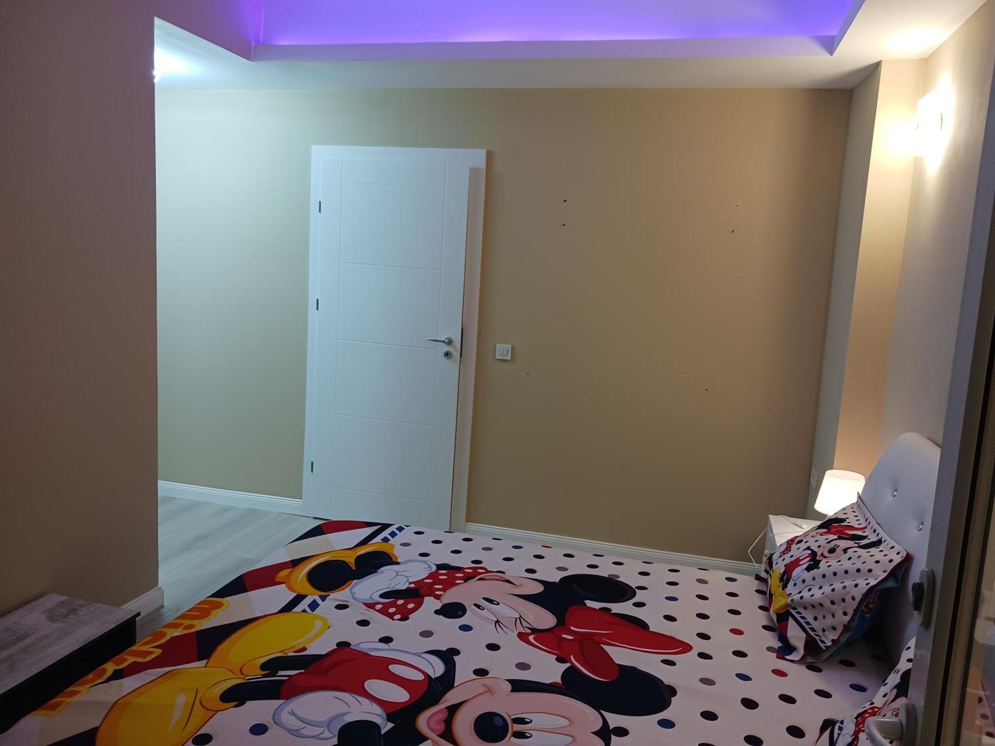 Myky Mouse Nu Primesc Santieristi Si Petrecareti Apartment Bucharest Luaran gambar
