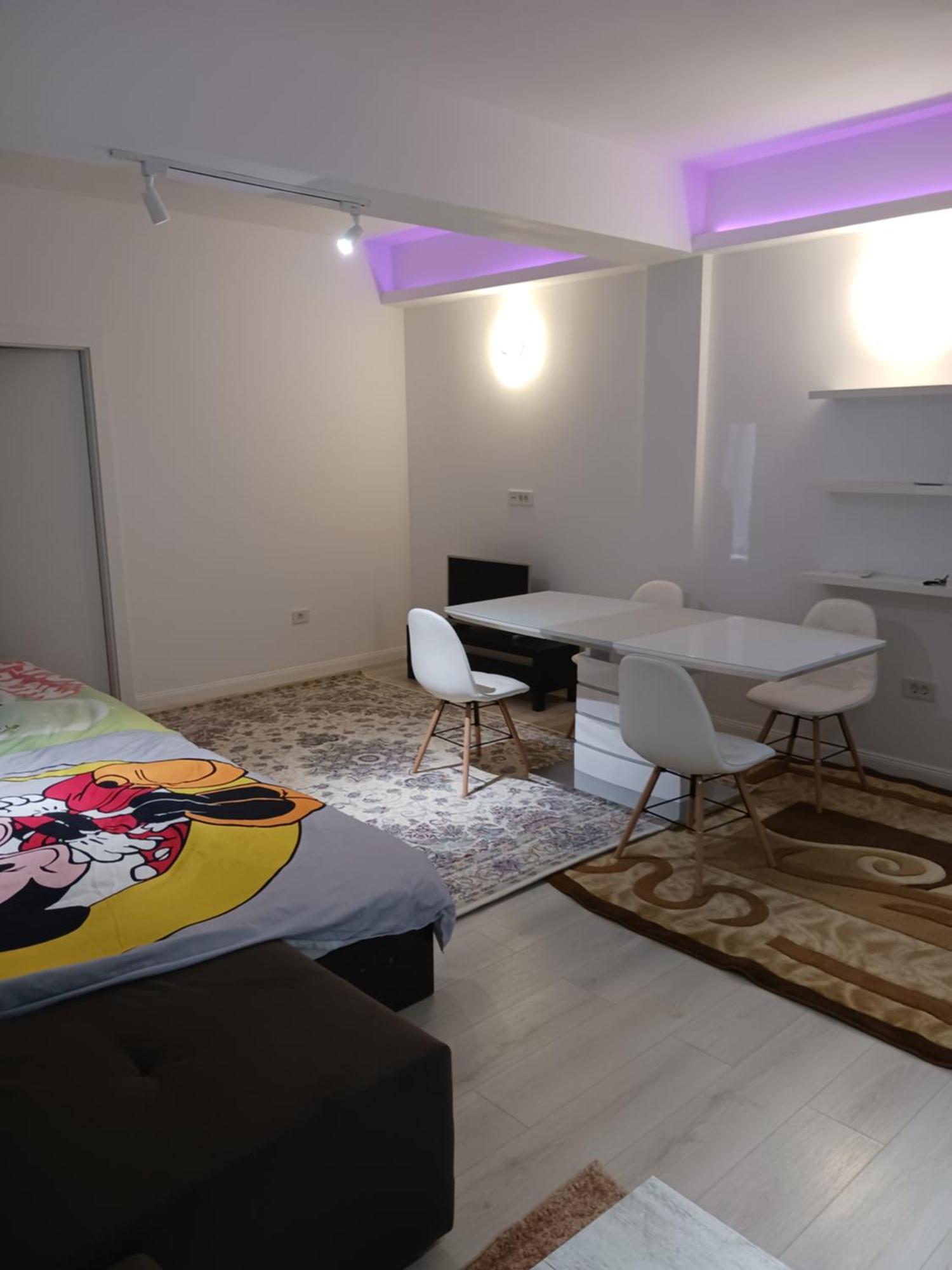 Myky Mouse Nu Primesc Santieristi Si Petrecareti Apartment Bucharest Luaran gambar