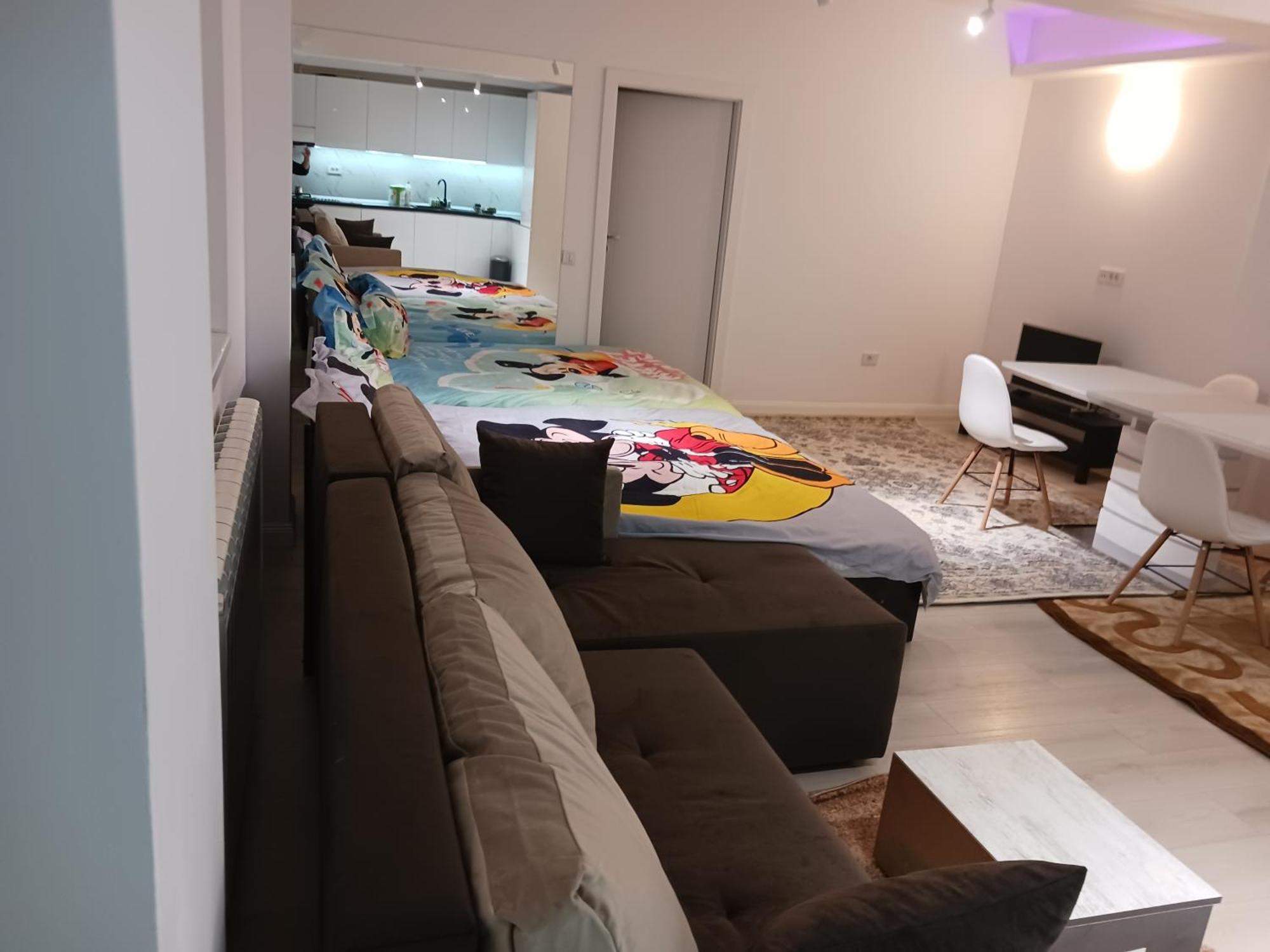 Myky Mouse Nu Primesc Santieristi Si Petrecareti Apartment Bucharest Luaran gambar
