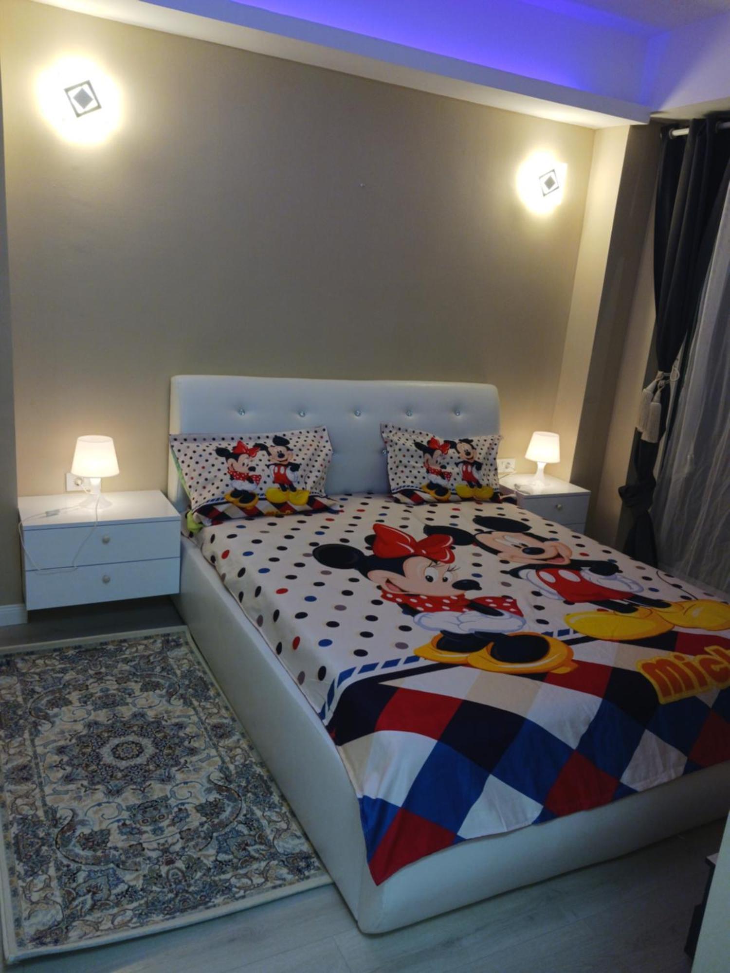 Myky Mouse Nu Primesc Santieristi Si Petrecareti Apartment Bucharest Luaran gambar