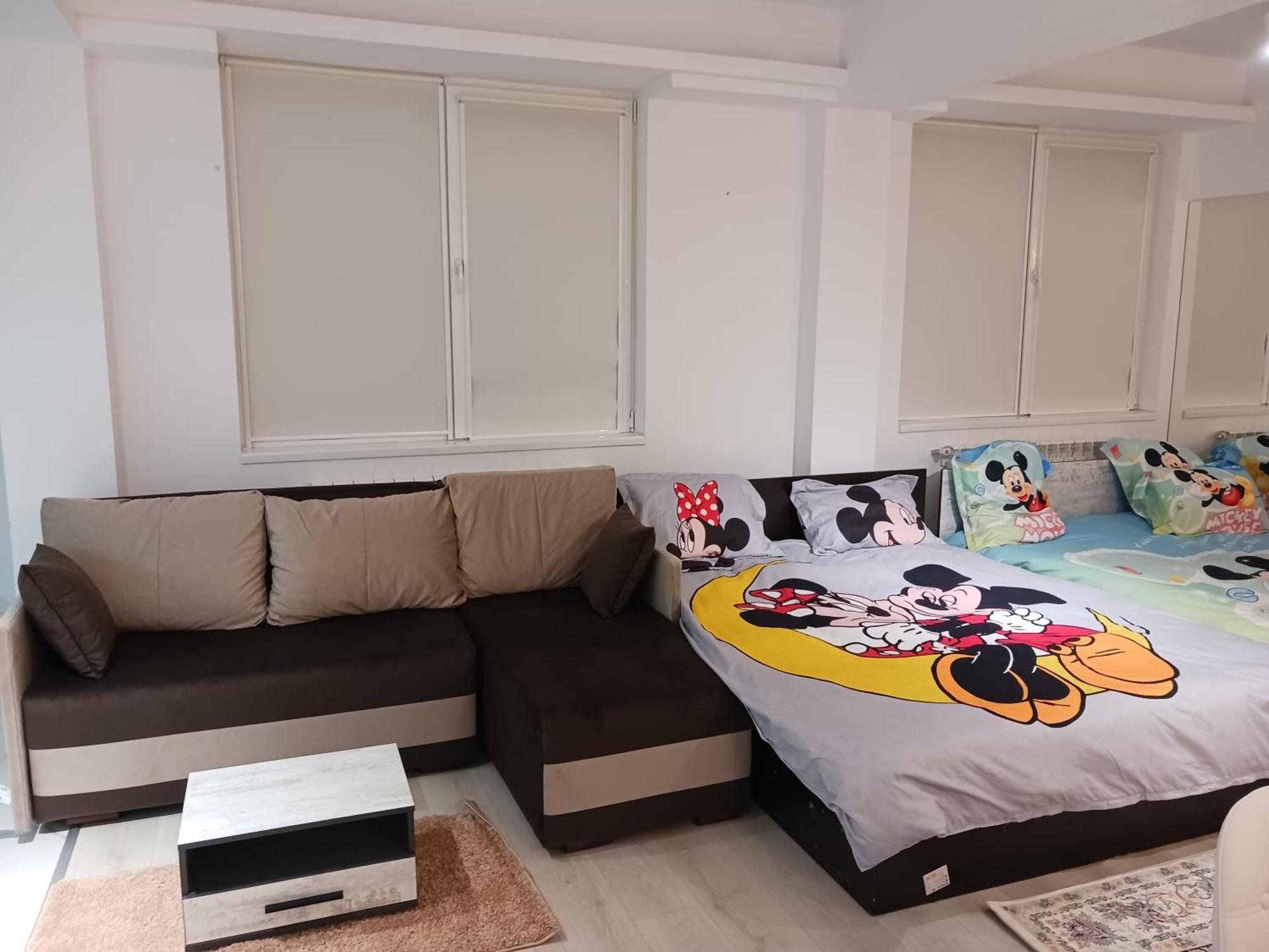Myky Mouse Nu Primesc Santieristi Si Petrecareti Apartment Bucharest Luaran gambar