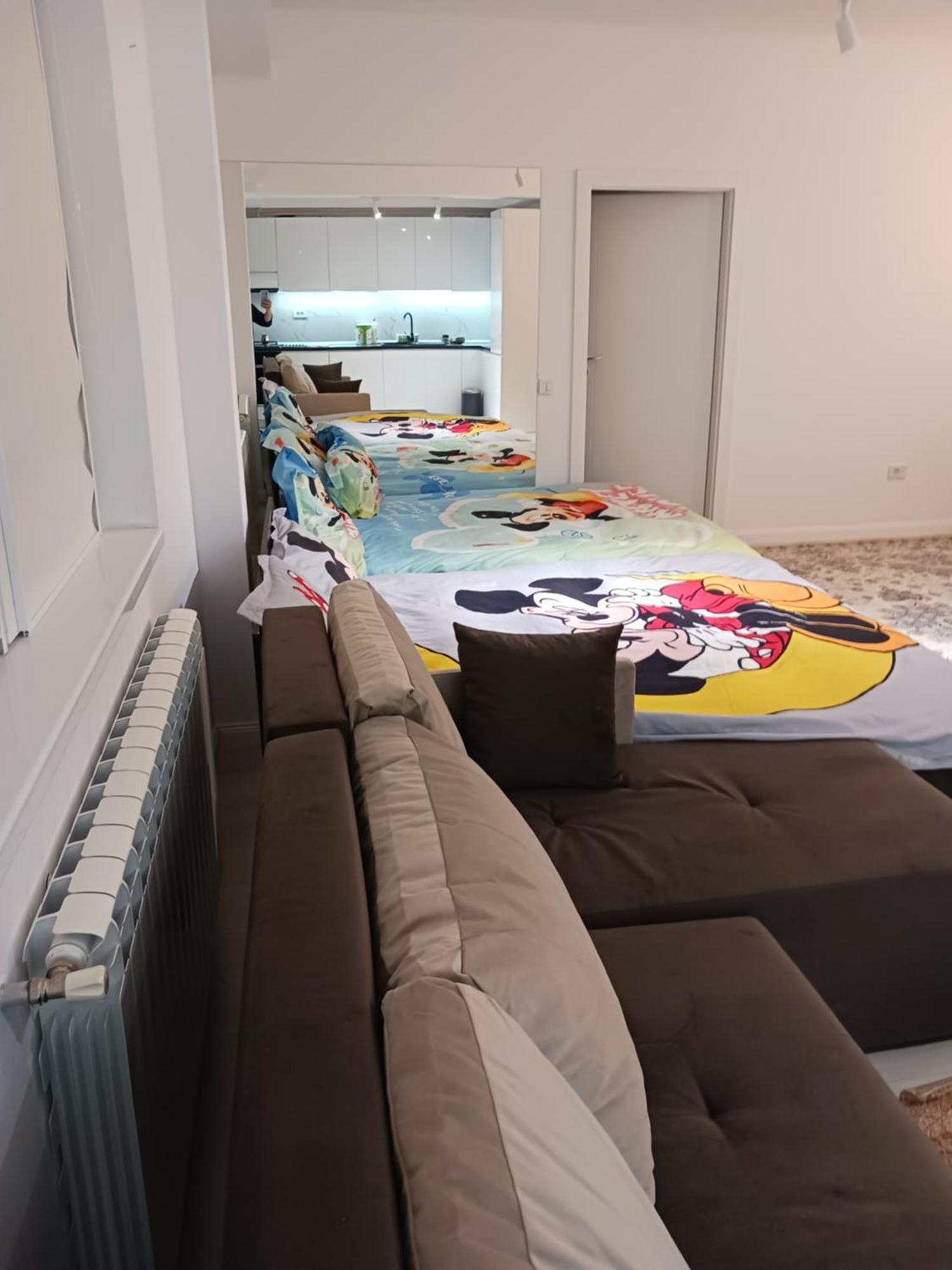 Myky Mouse Nu Primesc Santieristi Si Petrecareti Apartment Bucharest Luaran gambar