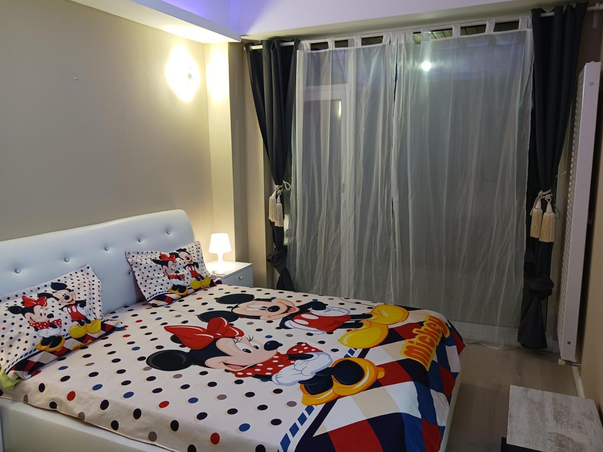 Myky Mouse Nu Primesc Santieristi Si Petrecareti Apartment Bucharest Luaran gambar
