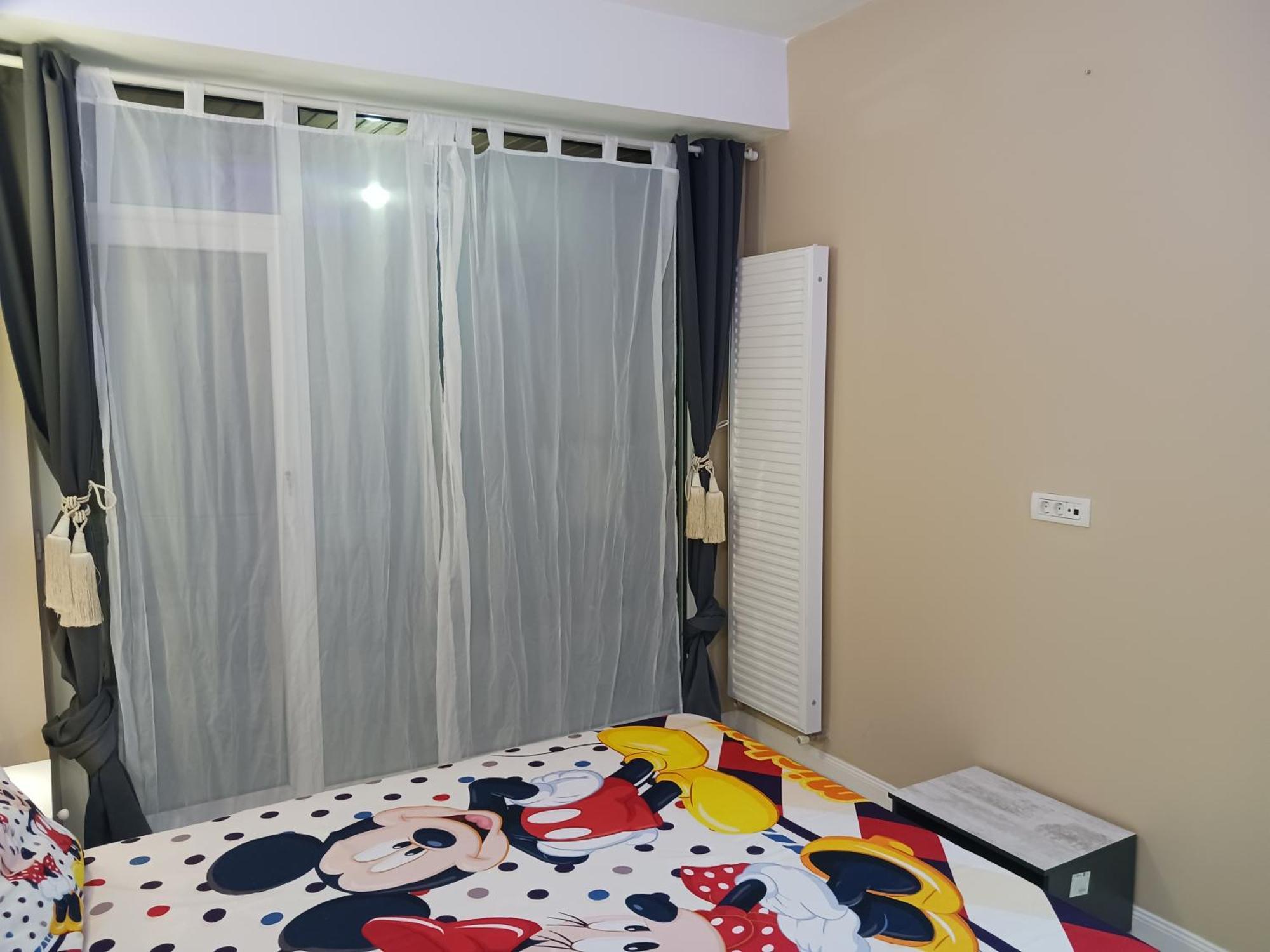Myky Mouse Nu Primesc Santieristi Si Petrecareti Apartment Bucharest Luaran gambar