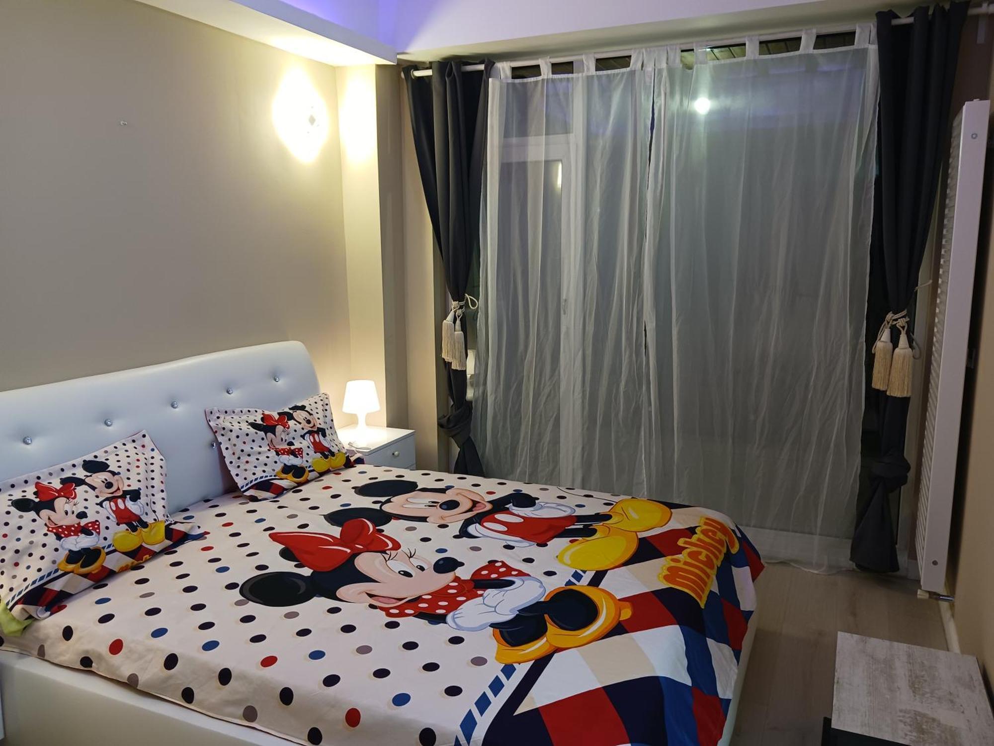 Myky Mouse Nu Primesc Santieristi Si Petrecareti Apartment Bucharest Luaran gambar