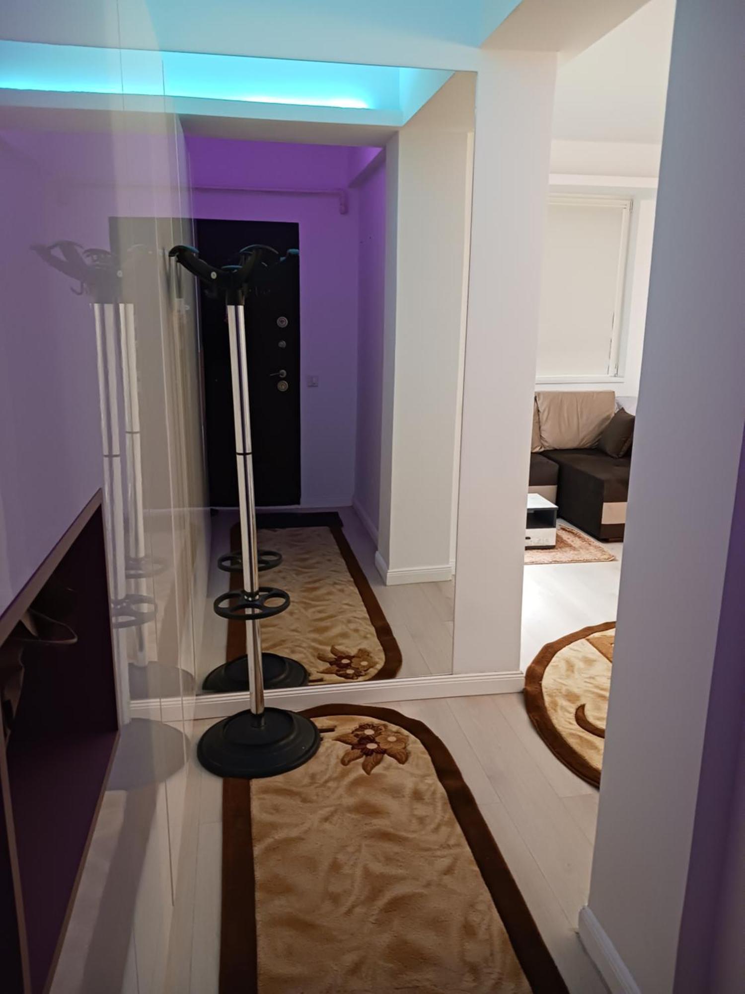 Myky Mouse Nu Primesc Santieristi Si Petrecareti Apartment Bucharest Luaran gambar