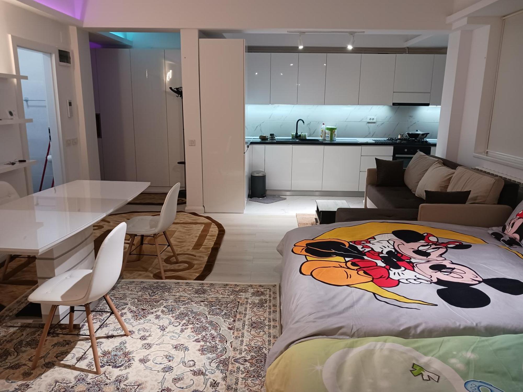 Myky Mouse Nu Primesc Santieristi Si Petrecareti Apartment Bucharest Luaran gambar