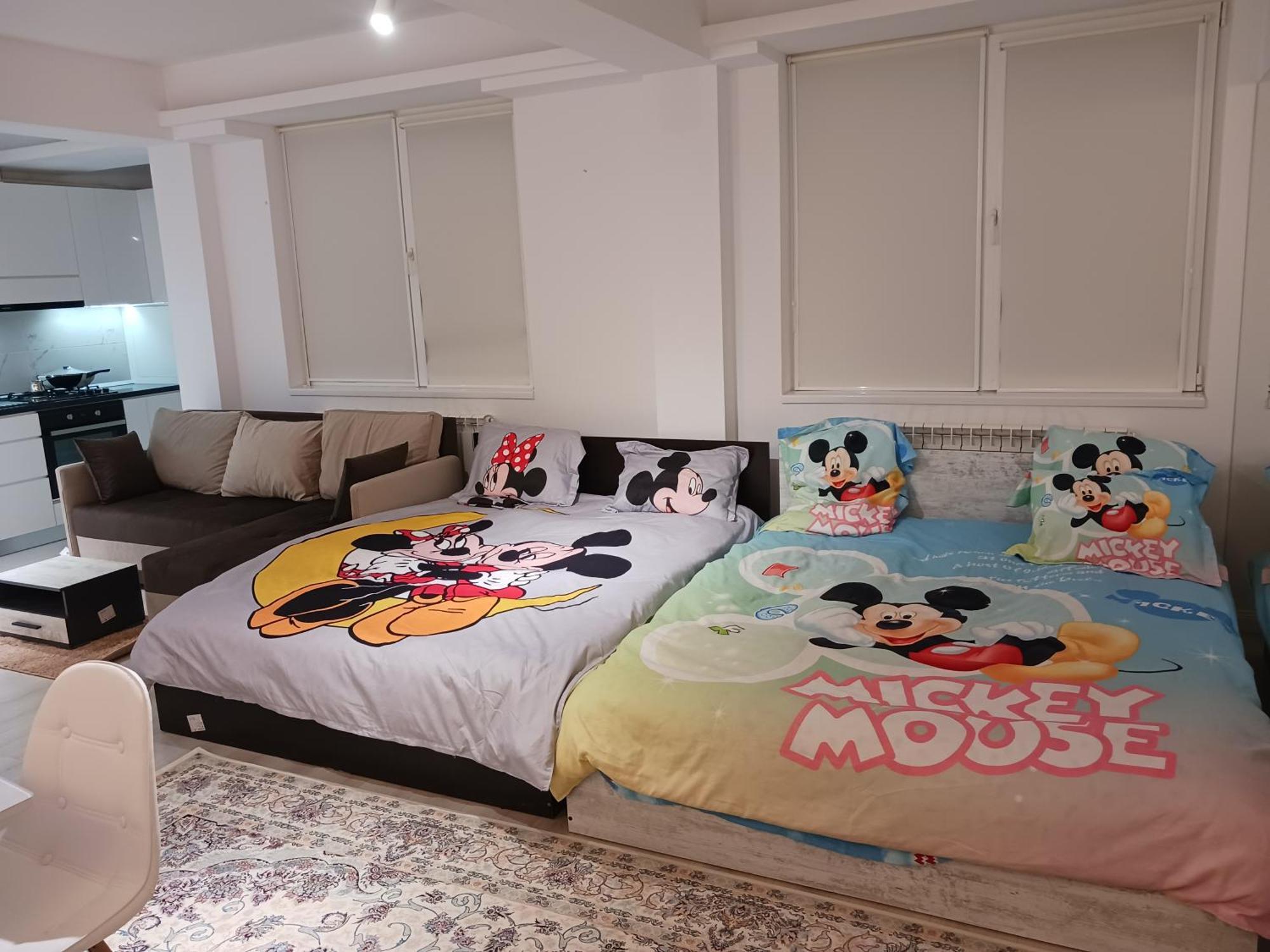 Myky Mouse Nu Primesc Santieristi Si Petrecareti Apartment Bucharest Luaran gambar